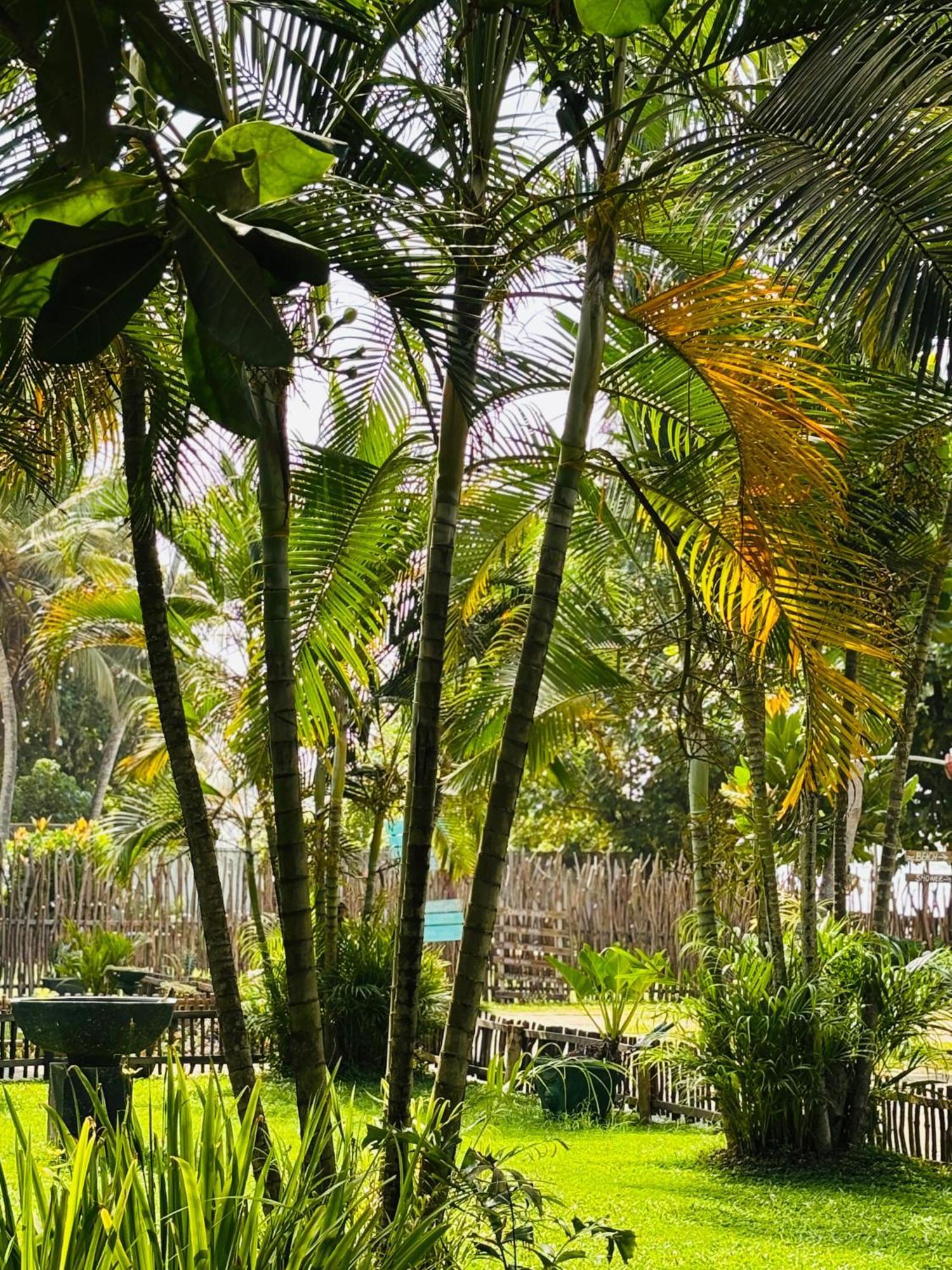 Balance Beach Resort Dikwella Esterno foto